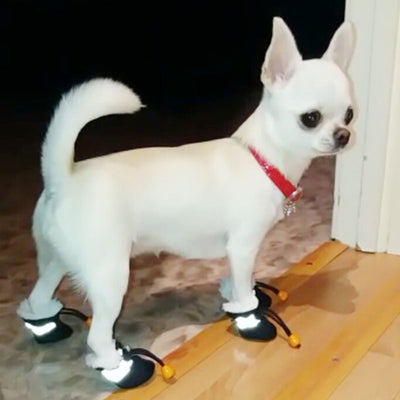 Waterproof Winter Pet Dog Shoes (4pcs)